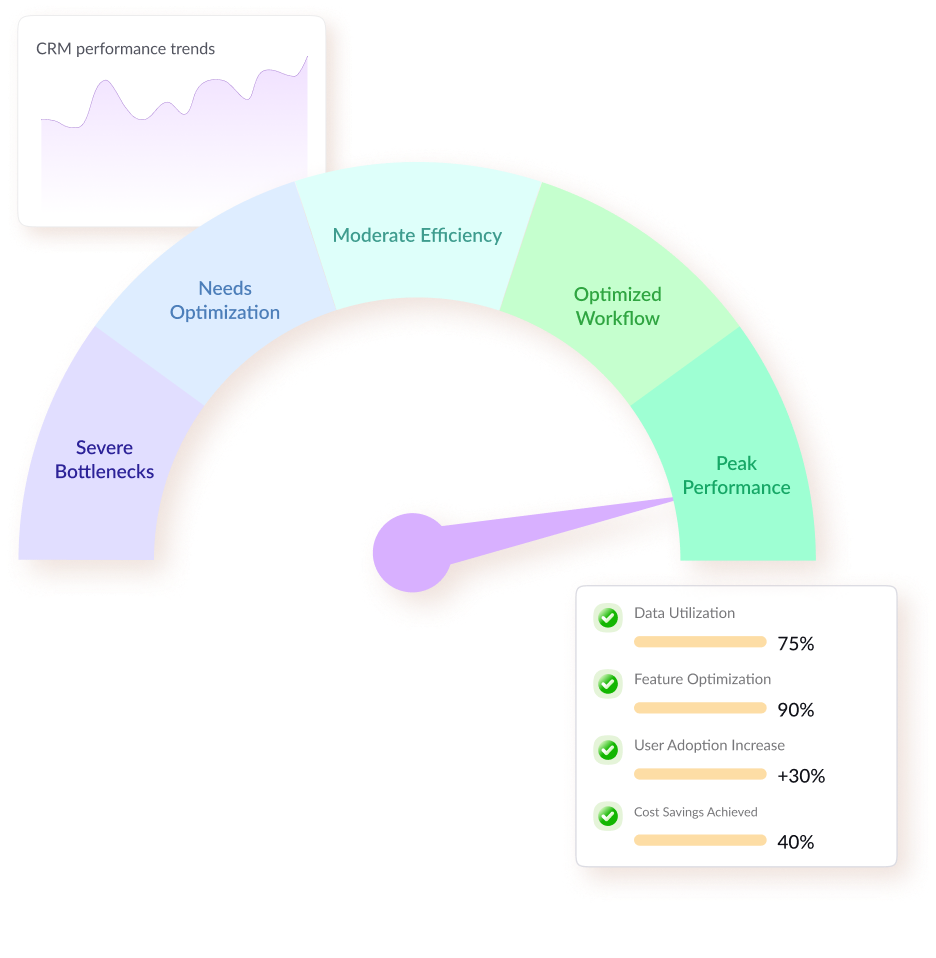 Vegacompass, Business optimization through CRM domain & Tech knowledge